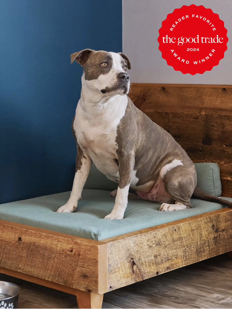 A dog bed from Avocado. The TGT 2024 Award Winner Badge is on the right corner of the image. 