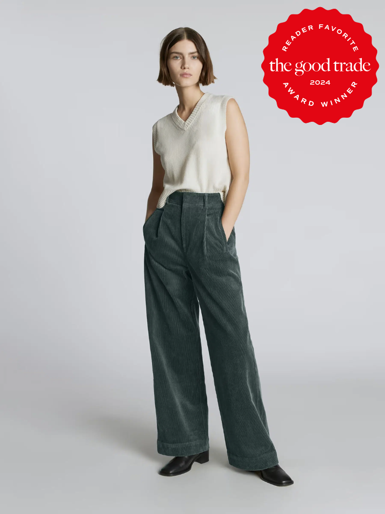 A model wearing baggy pants from Everlane. The TGT 2024 Award Winner Badge is on the right corner of the image. 