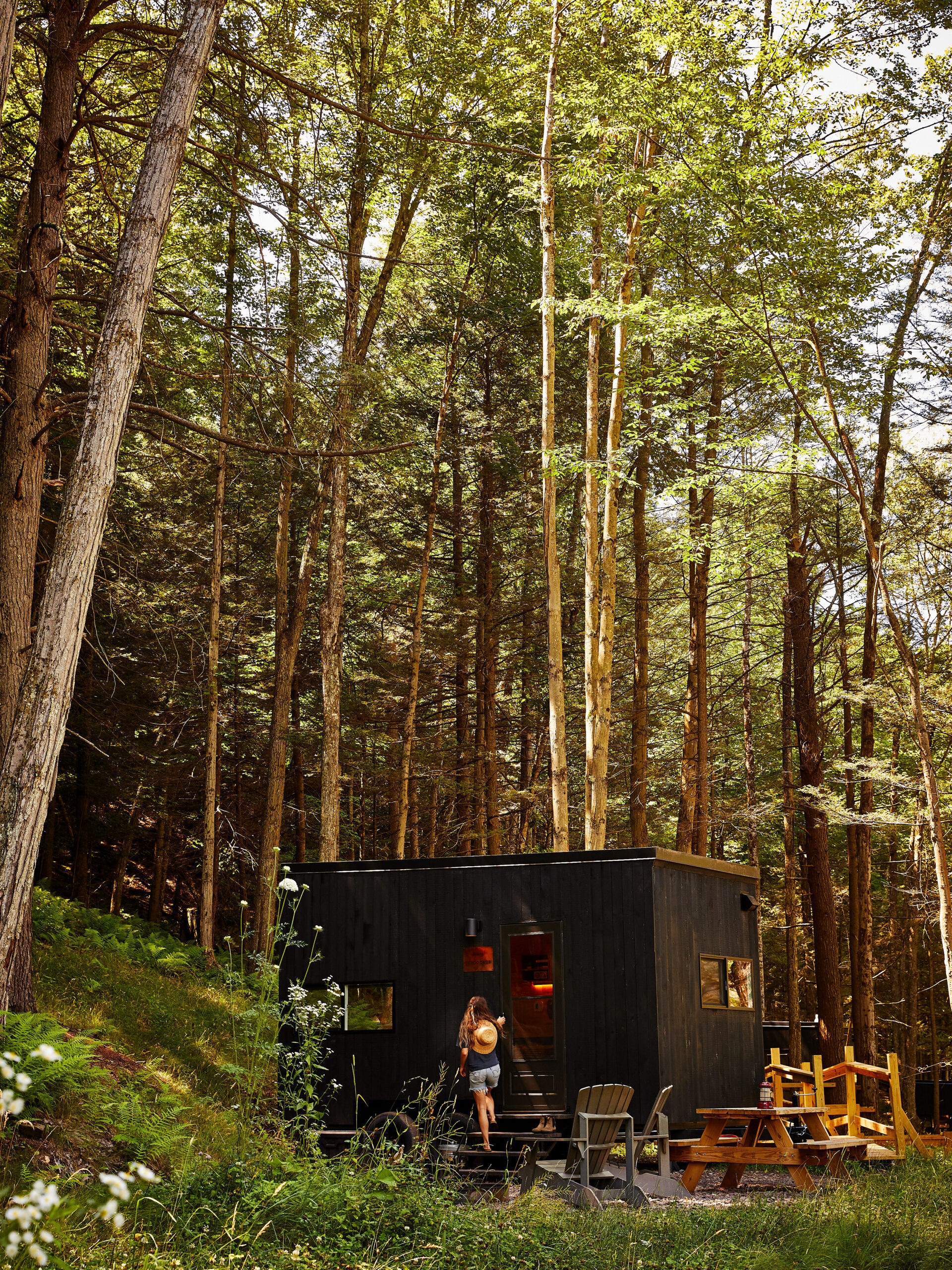 A Getaway Tiny Cabin in a forest. 