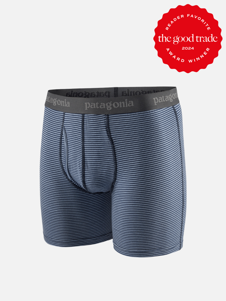 A pair of blue and black thin striped Patagonia boxers. The TGT 2024 Award Winner Badge is on the right corner of the image.
