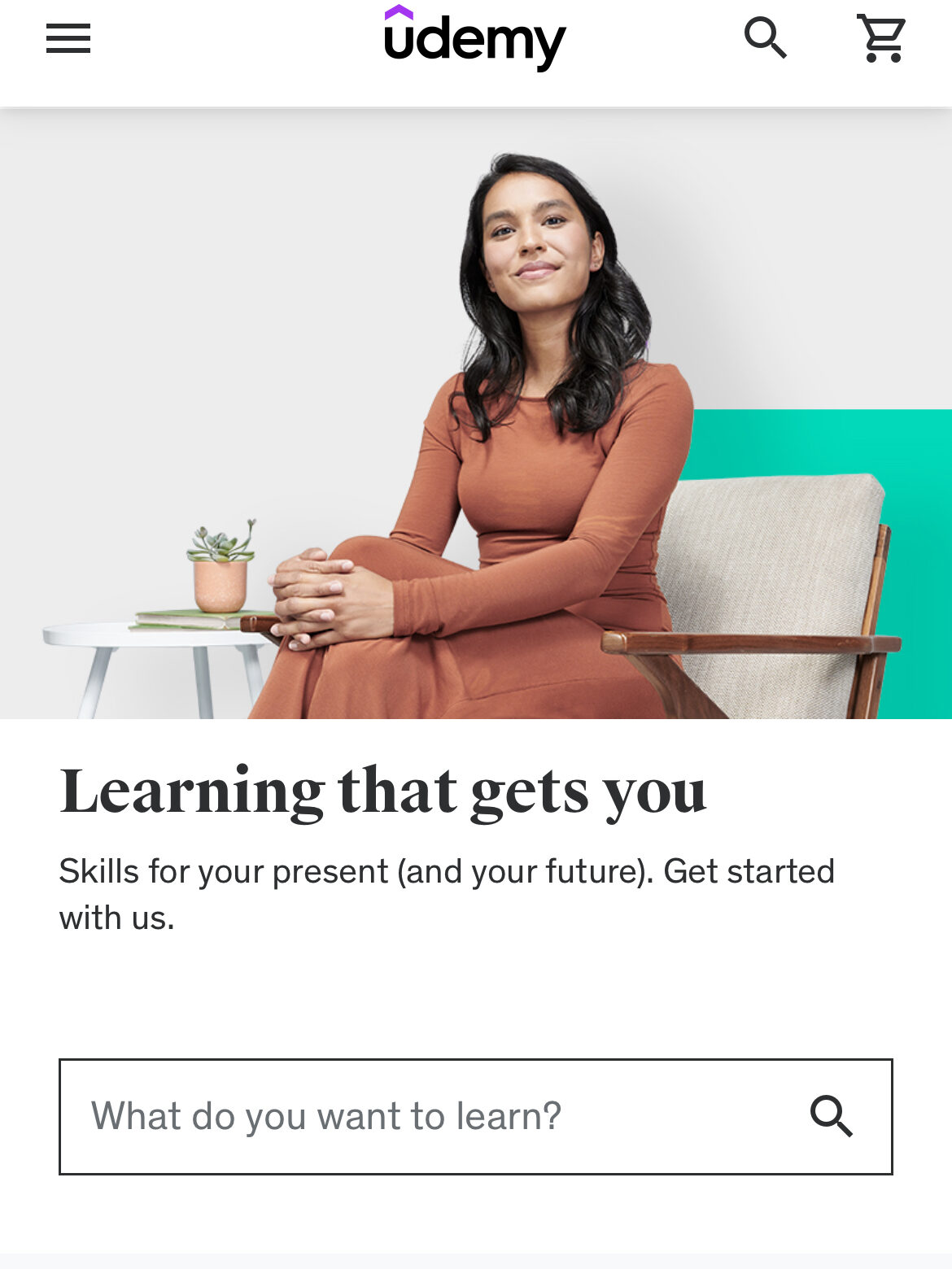 A screenshot of the Udemy website.