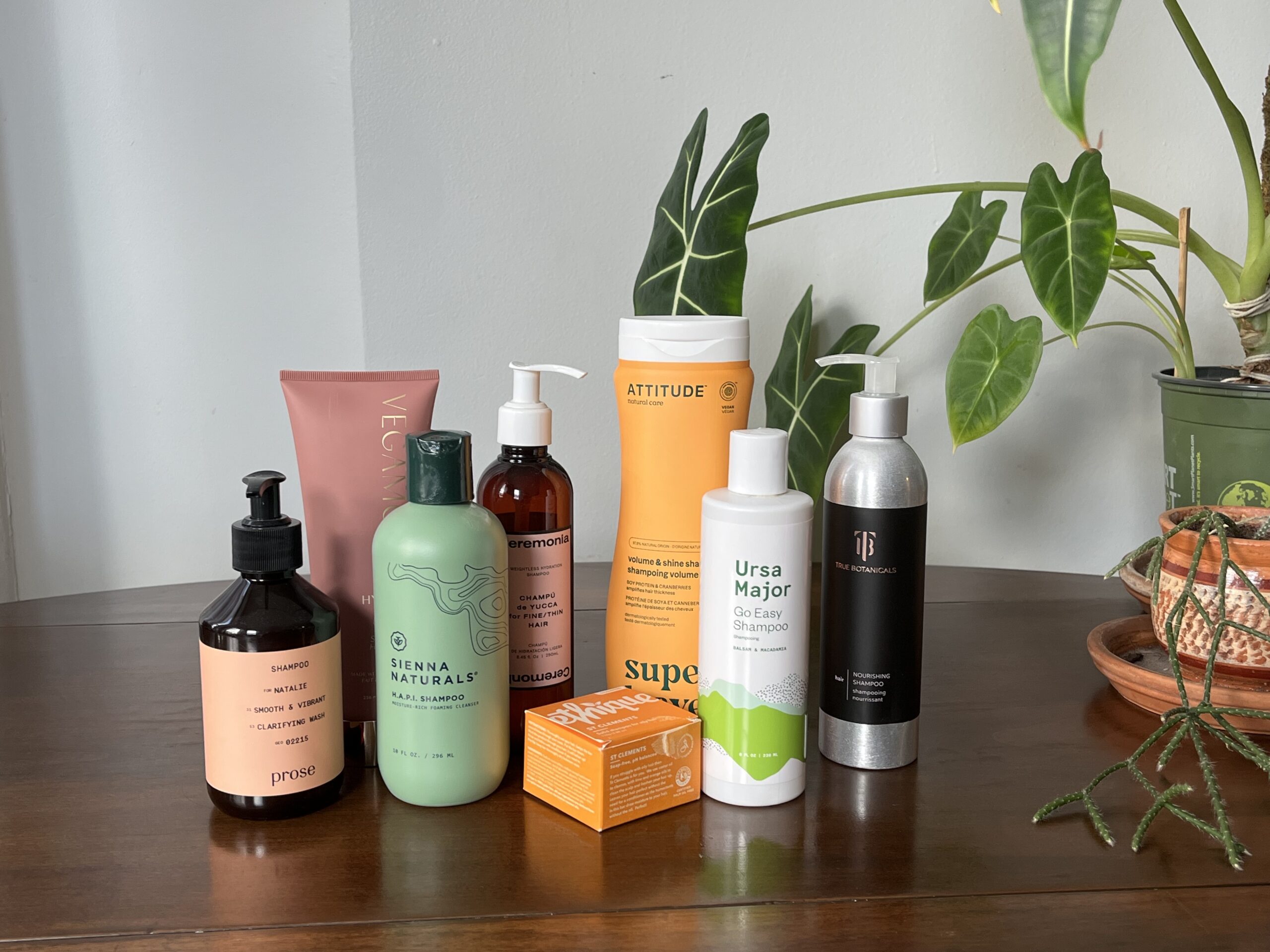 An assortment of personal care products arranged on a wooden surface against a backdrop with plants.