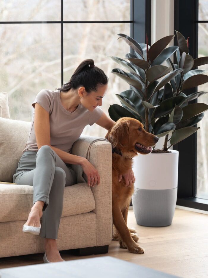 A woman sitting on a sofa indoors, smiling at a golden retriever next to her.