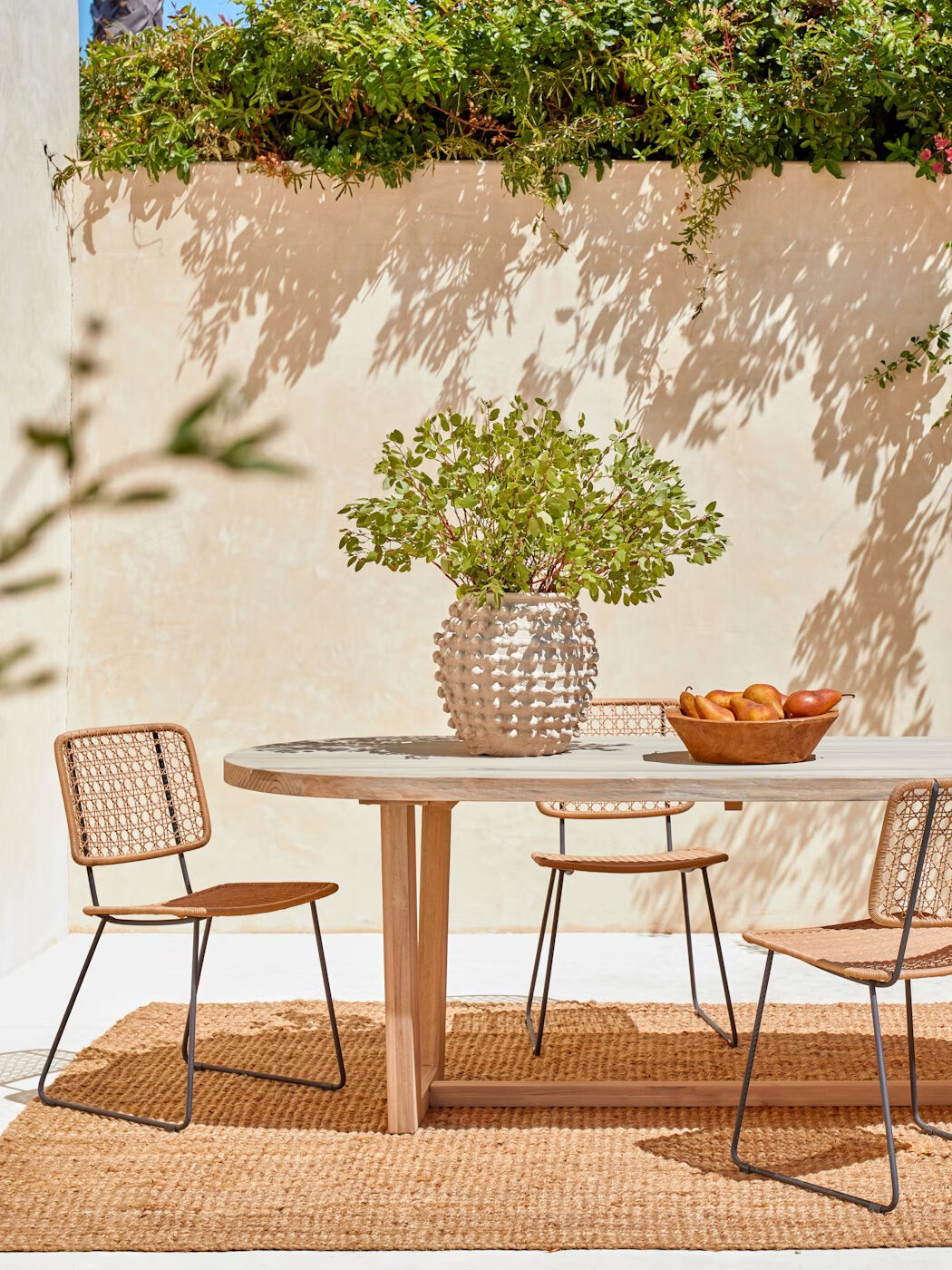 An outdoor dining table with chairs and a rug.