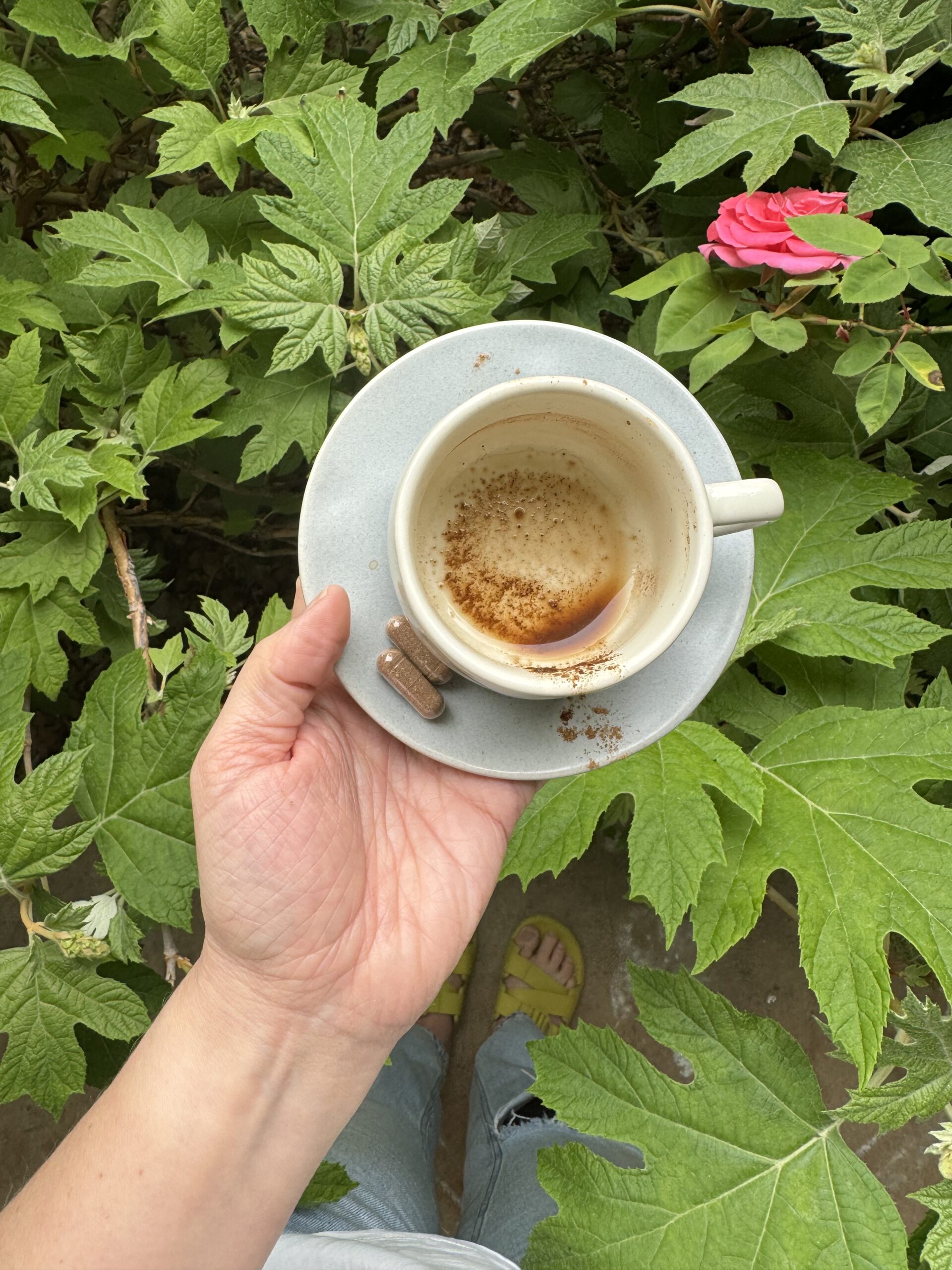 A person holding an almost empty coffee cup over a saucer, standing among green plants and a pink rose, with a visible sandaled foot.