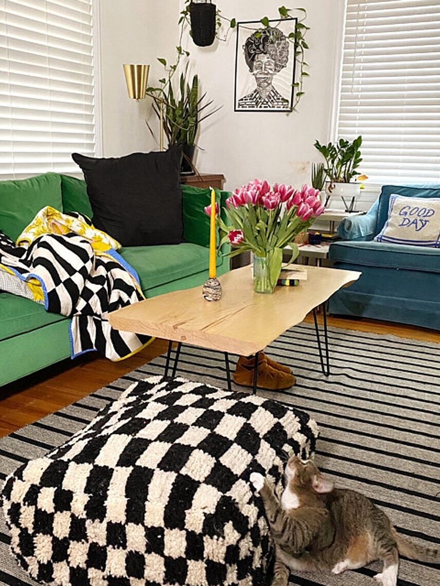 A cozy living room featuring a green sofa, blue armchair, and a striped black and white rug, with a cat sitting by a checkered ottoman.
