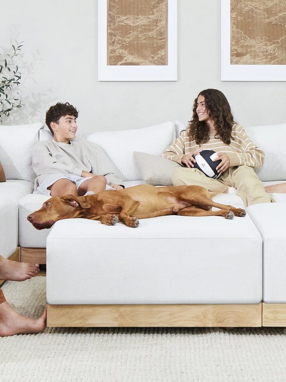 Four people are seated on a large white sectional sofa with wooden frames, engaging in conversation and reading. A brown dog is lying on one of the cushions. Shelves and decor are in the background.