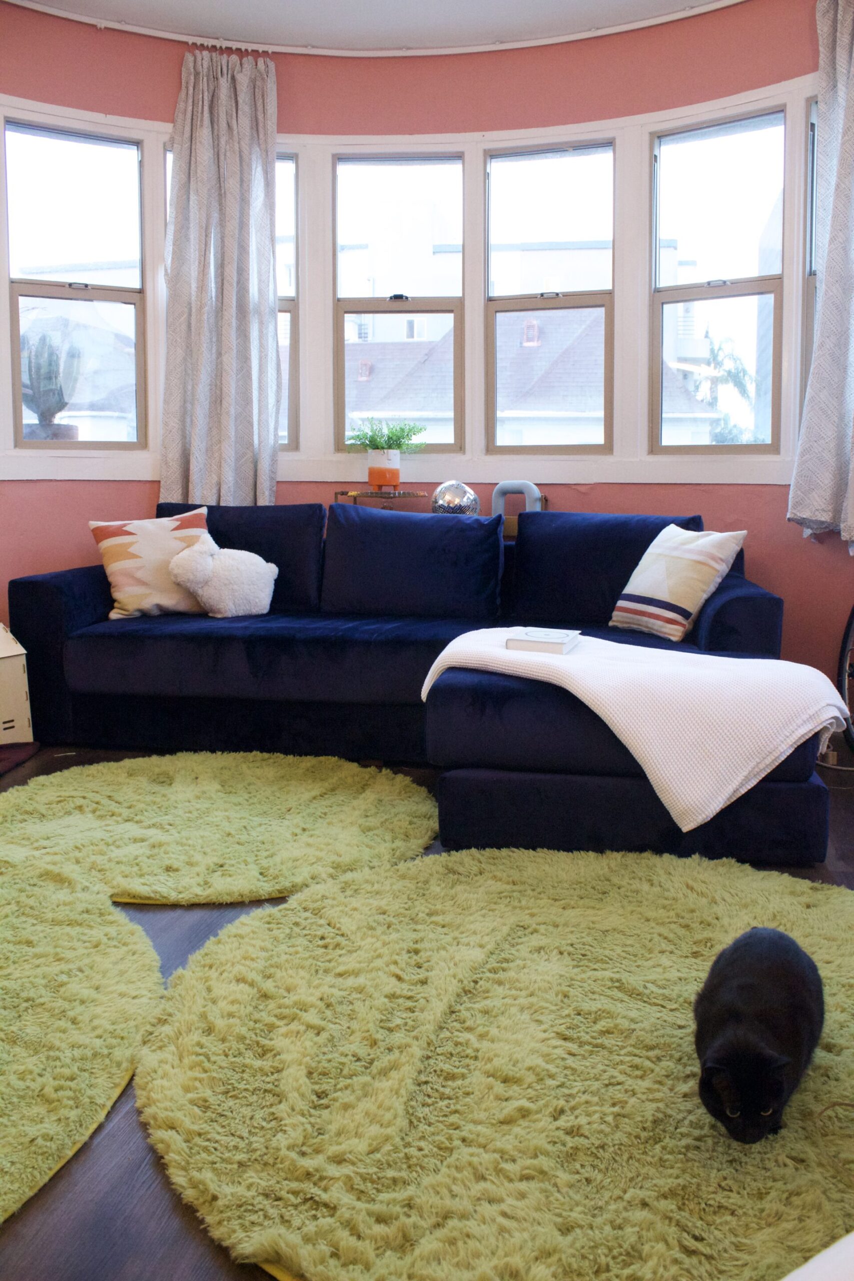A living room with a navy blue sofa, multiple pillows, and a white blanket. The floor has light green rugs, and a black cat is sitting on one of the rugs near the bottom of the image.