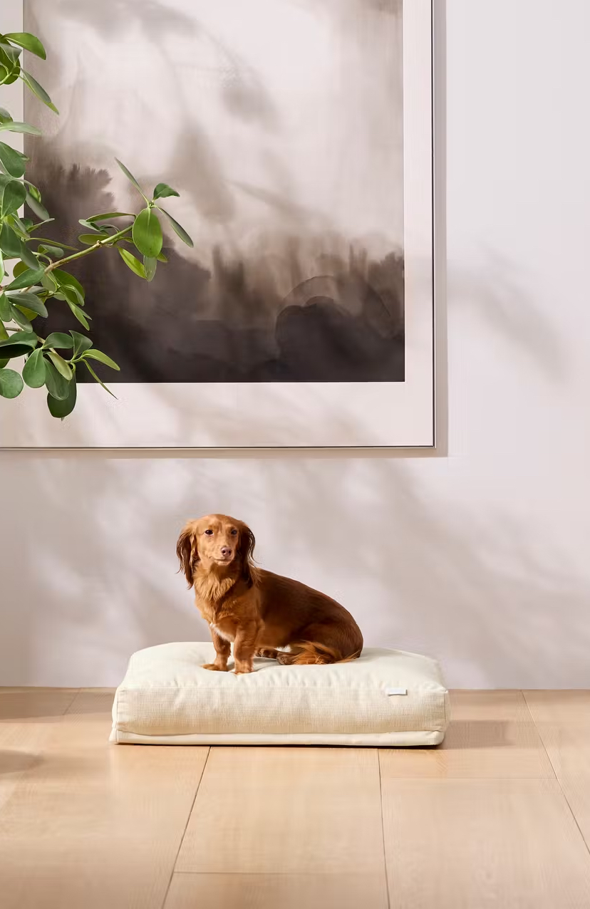 thumbnail image 2 of IMounTEK Grey Orthopedic Memory Foam Dog Bed - Soft Long Plush, Washable Cover, S/M/L/XL Sizes 2 of 6