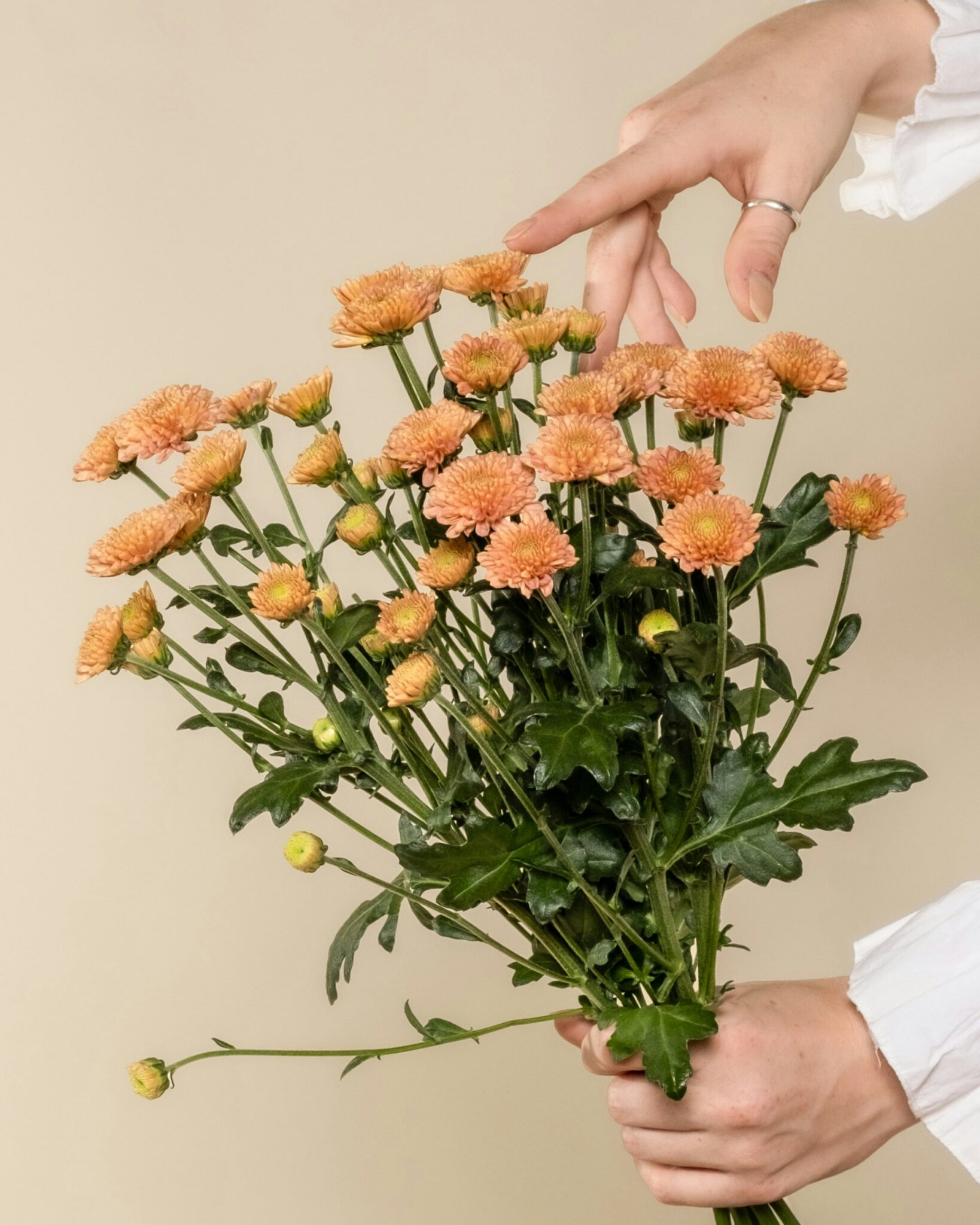 A person holding a bouquet of orange chrysanthemums against a plain beige background.
