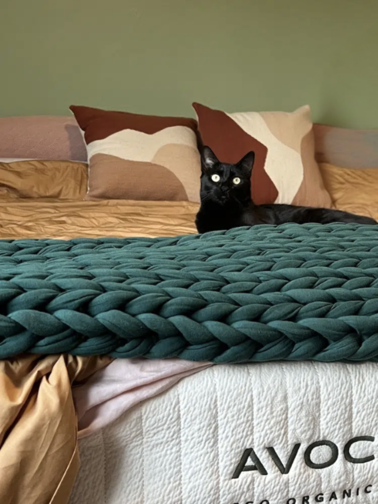 A black cat lies on a bed with gold bedding, two abstract-patterned pillows, and a chunky dark green knit blanket. The bedspread reads "AVOC.