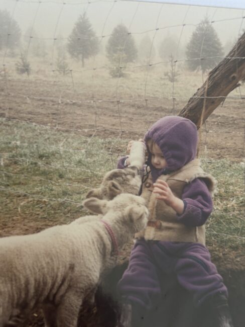 A young child in a purple hooded outfit sits on the ground feeding a bottle to two lambs near a wire fence on a foggy day.
