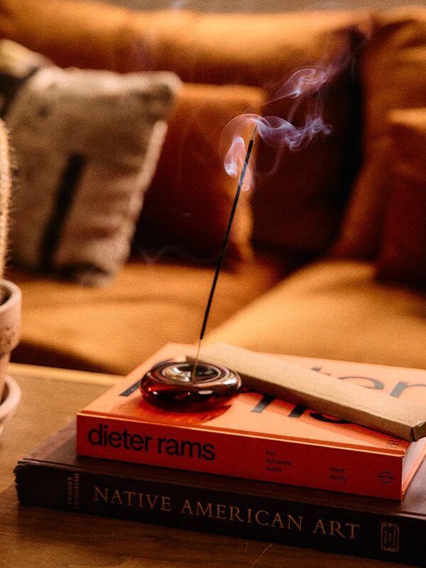 A lit incense stick in a holder sits on two books, one titled "dieter rams" and the other "Native American Art," on a coffee table next to a potted cactus, with a sofa in the background.