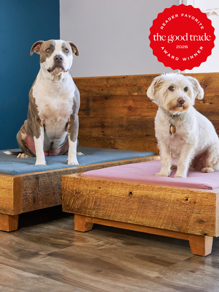 Two dogs sit on separate wooden platform beds with cushions; a red "The Good Trade Award Winner 2026" badge appears in the upper right corner.