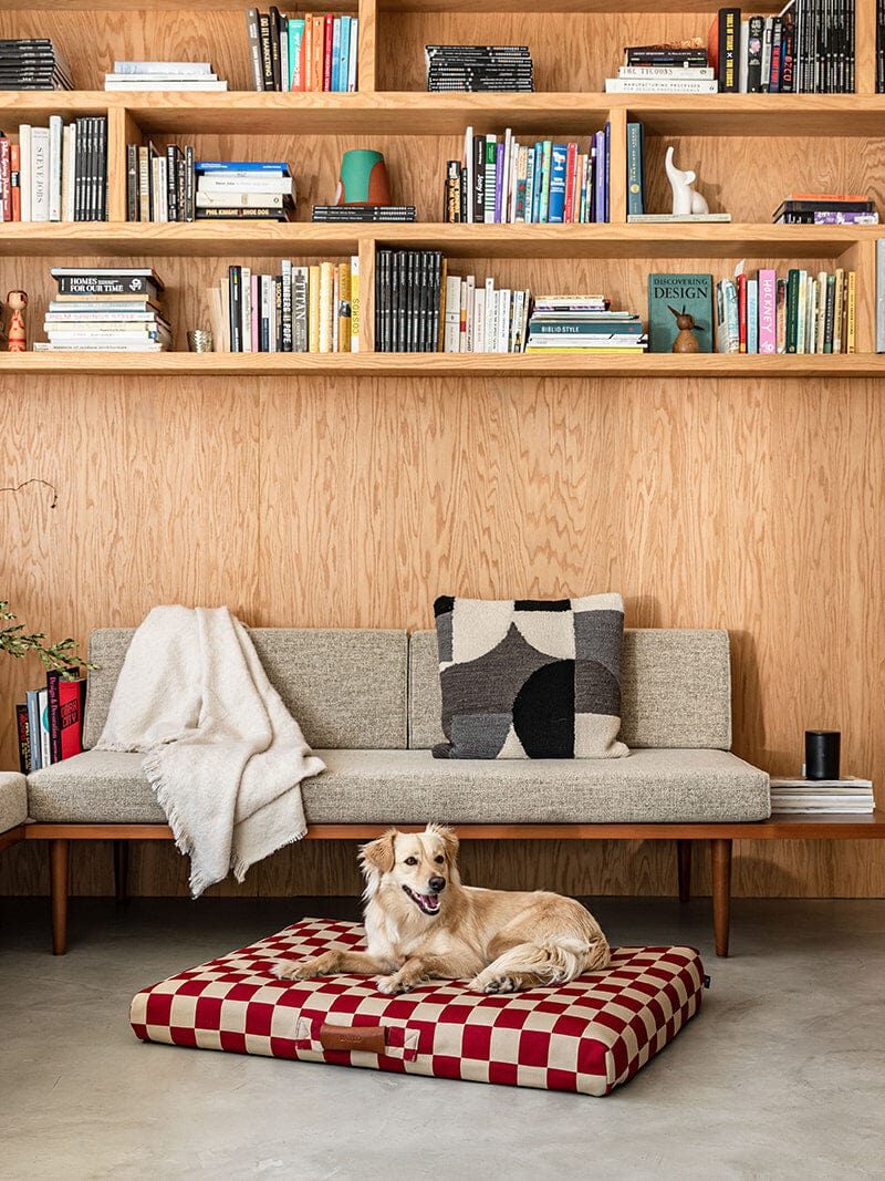 A dog lies on a red-and-white checkered bed in a modern living room with wood paneling, built-in shelves filled with books, and minimalist furniture.