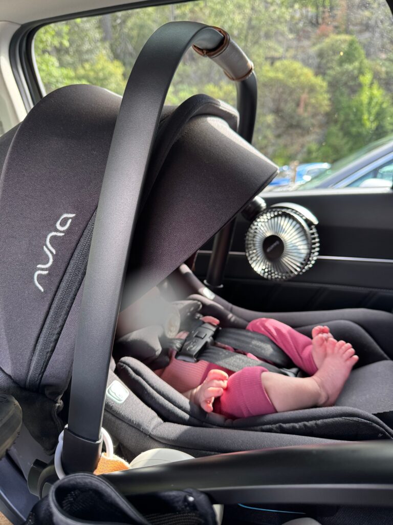 Is The Nuna Stroller And Carseat Worth It? (2025 Review) - The Good Trade