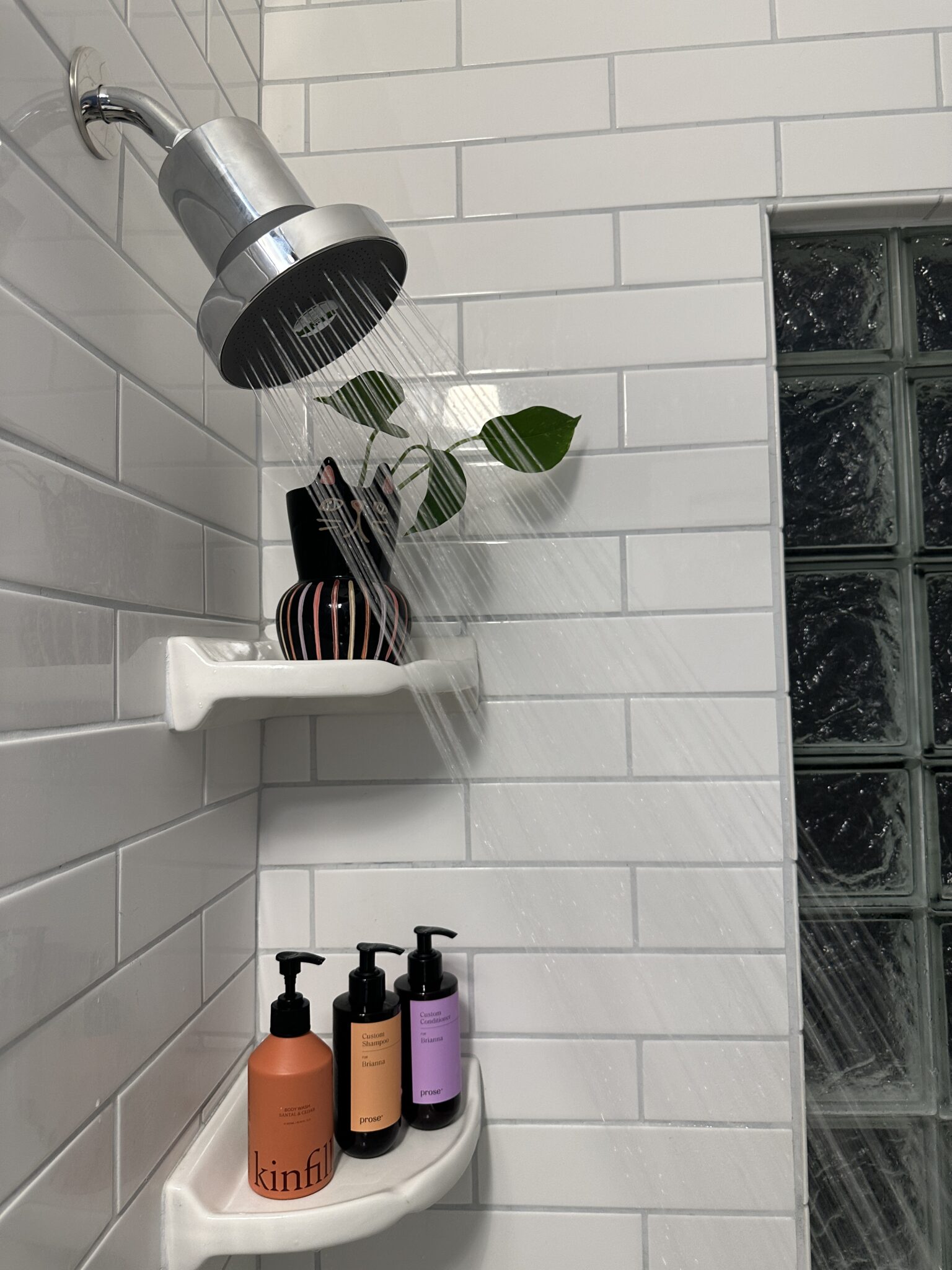 A shower head with a plant in a pot.