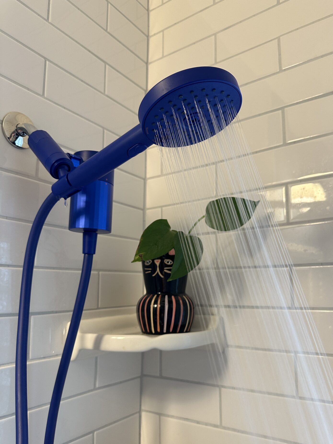 Blue showerhead spraying water in a tiled shower; a small plant in a black vase with a face design sits on a shelf nearby.