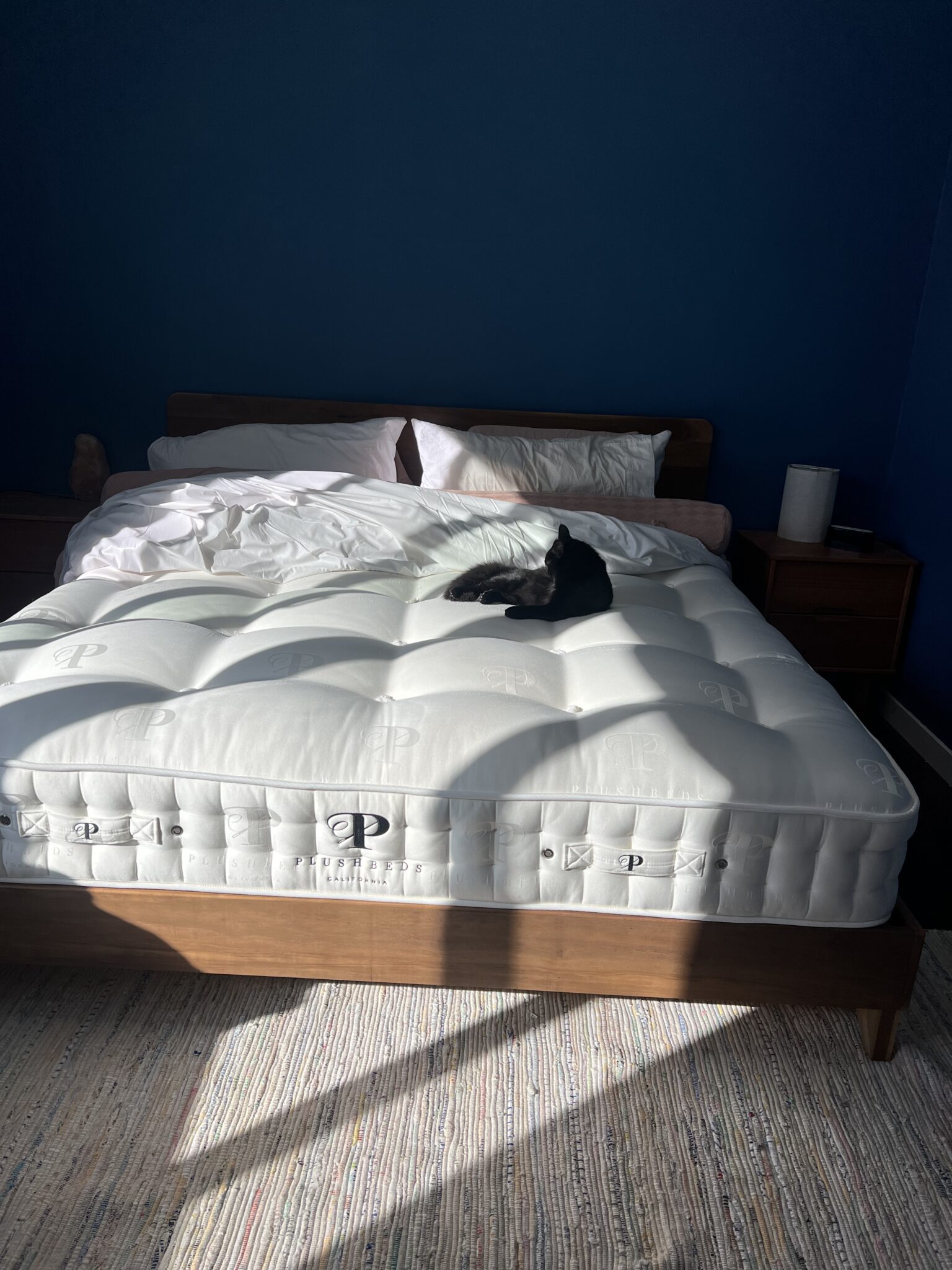 A black cat is lying on a white mattress atop a wooden bed frame in a sunlit bedroom with dark blue walls and rumpled bedding.