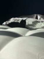 Sleeping Like A Queen? I Review The Royal Bliss Luxury Mattress From ...