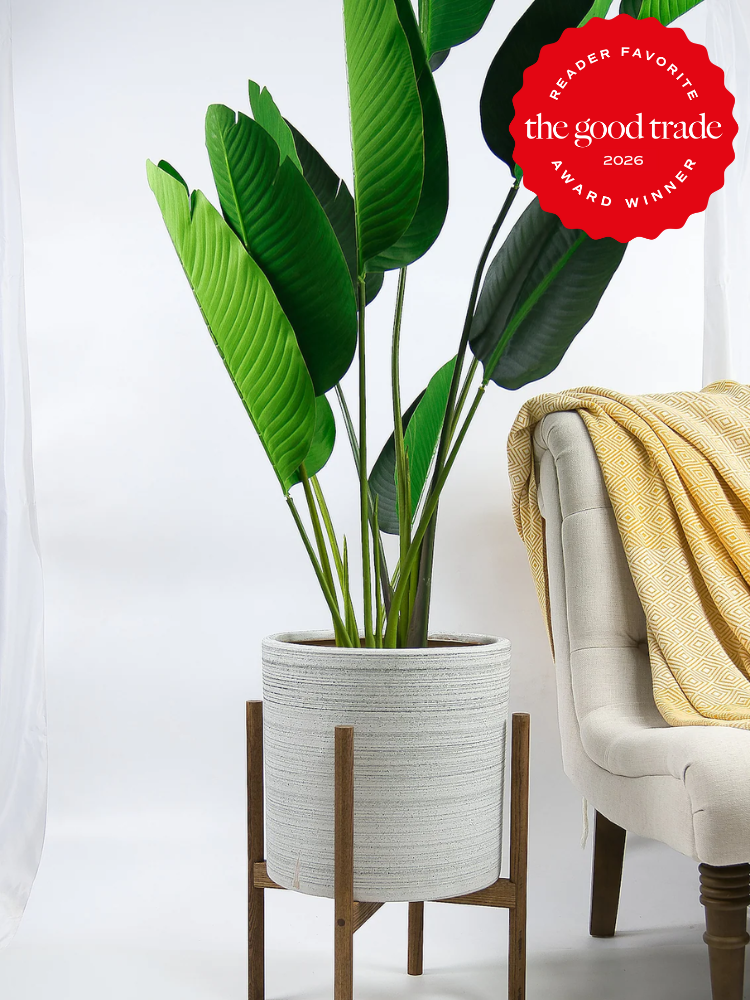 A tall green potted plant in a textured white planter with a wooden stand sits next to a beige chair with a yellow blanket; an award badge is displayed in the top right corner.