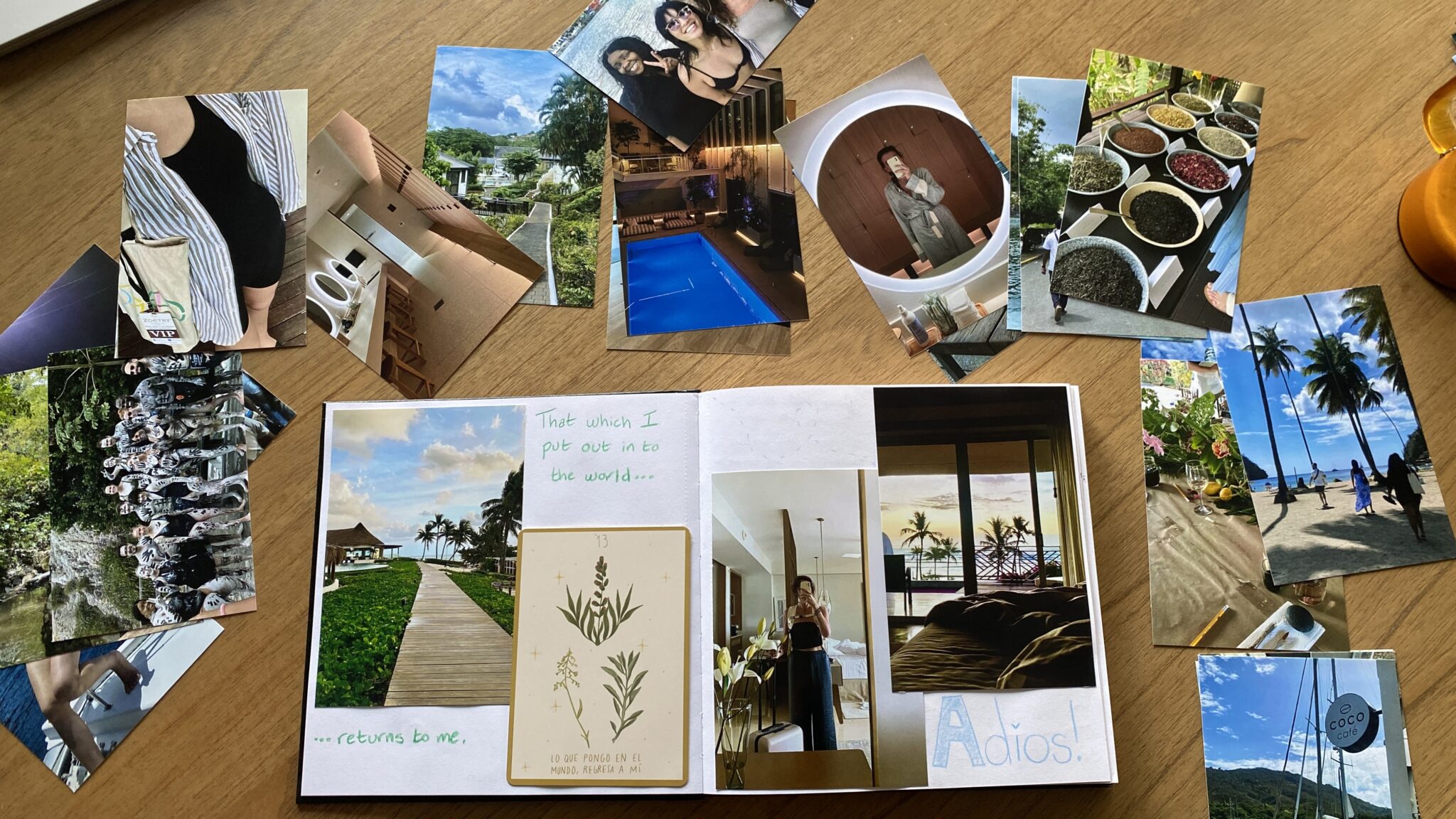A collection of printed photos and an open scrapbook with handwritten notes and plant illustrations displayed on a wooden surface.
