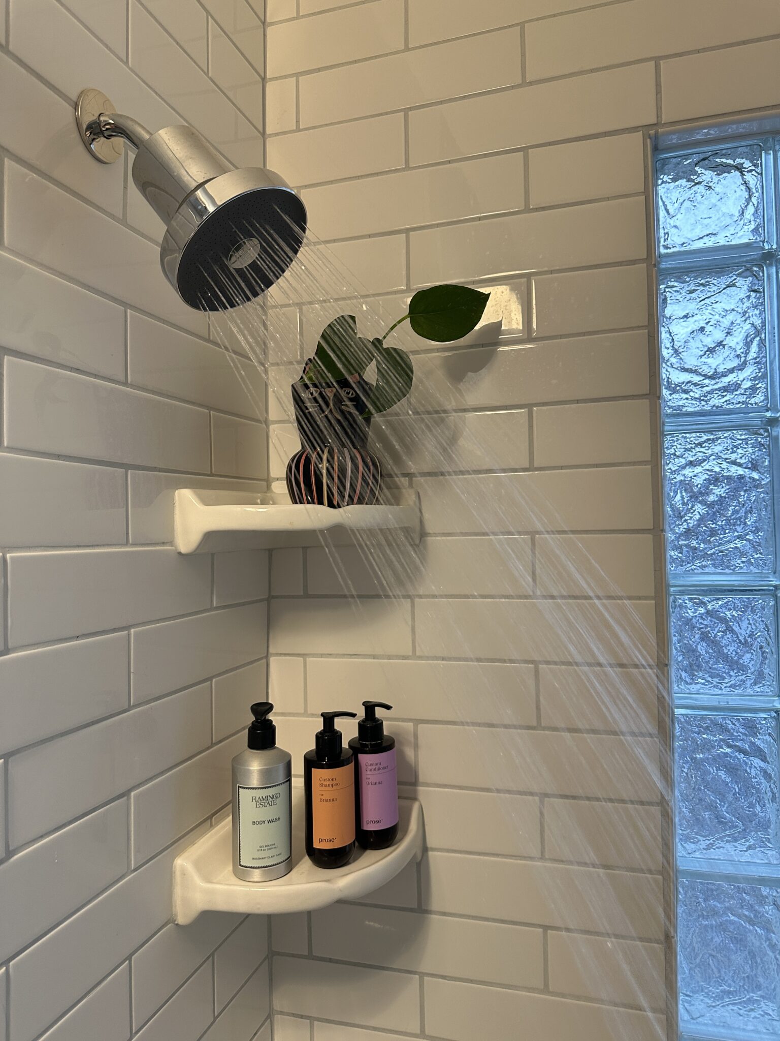 Water streams from a showerhead onto a small potted plant on a corner shelf; bottles of toiletries sit on a lower shelf against white subway tile walls.