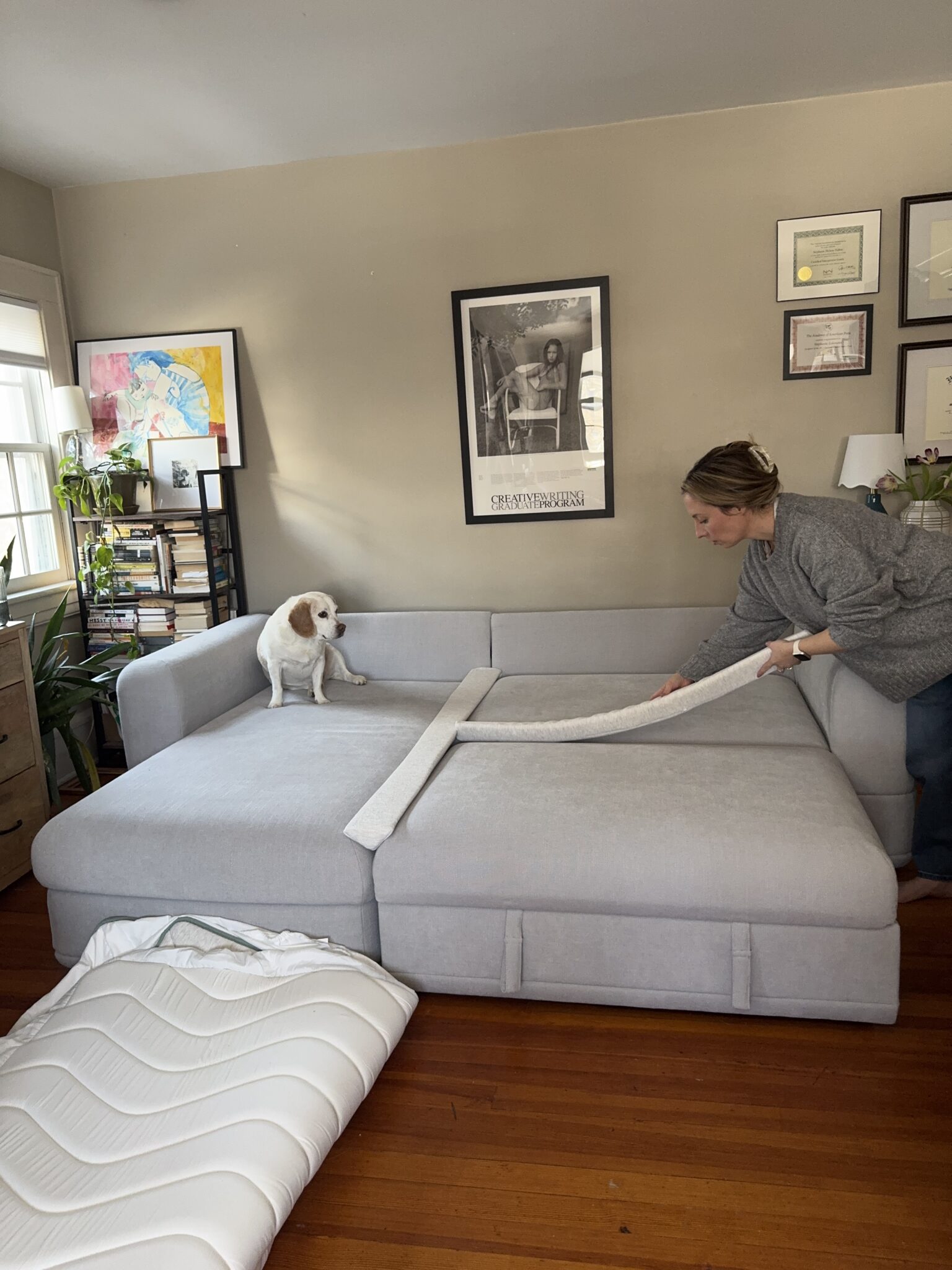 A woman makes a gray pull-out sofa bed while a small white dog with brown spots sits on it in a living room.