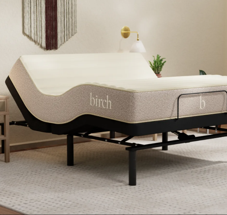 An adjustable bed with a mattress labeled "birch" is partially elevated in a bedroom with neutral decor and a wall hanging above the headboard.