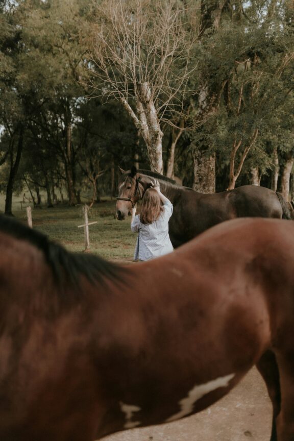 A person in a light shirt stands next to a brown horse in a wooded area, with another horse partially visible in the foreground.