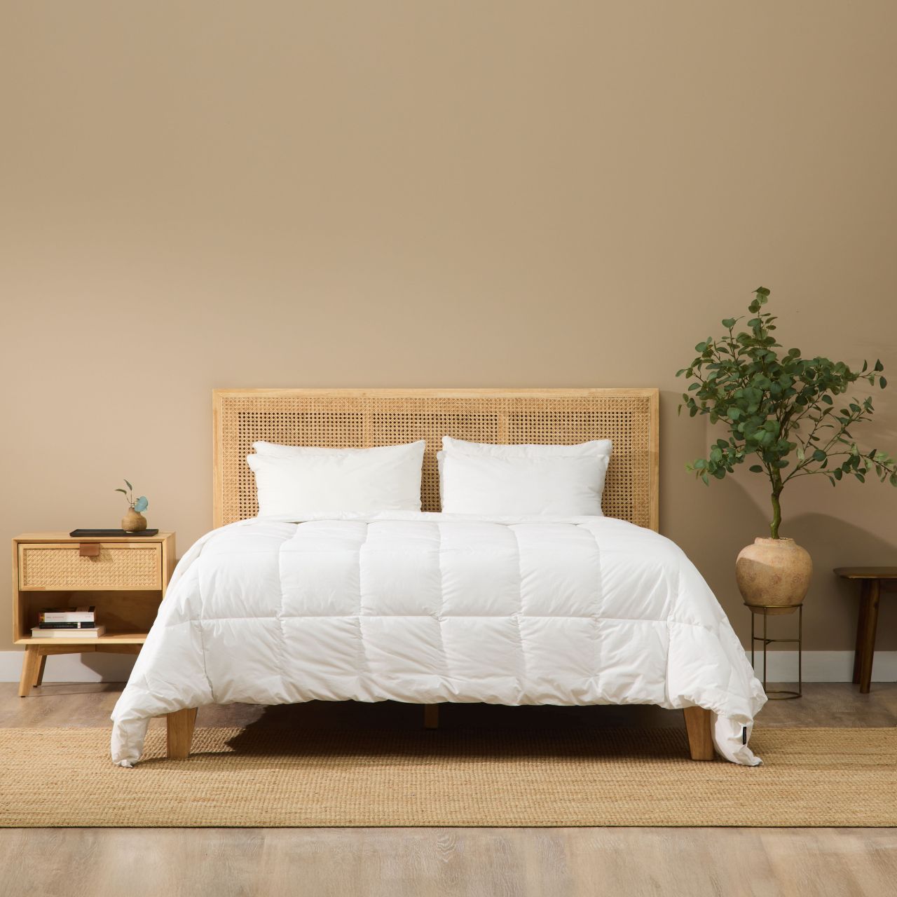 A neatly made bed with a white comforter and two pillows stands against a beige wall, next to a wooden nightstand and a potted plant.