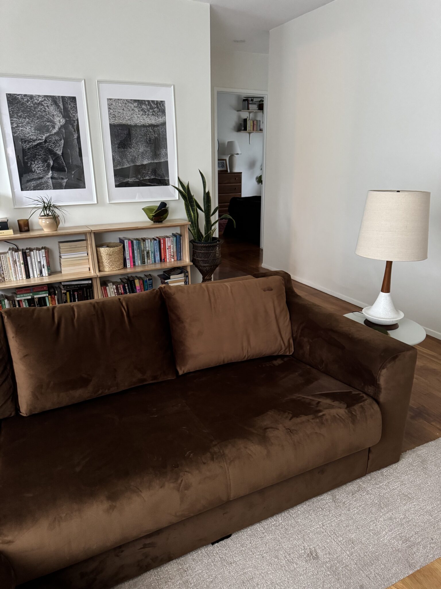 A brown velvet sofa sits in a living room with a bookshelf, two black-and-white artworks on the wall, a white lamp, and several houseplants.