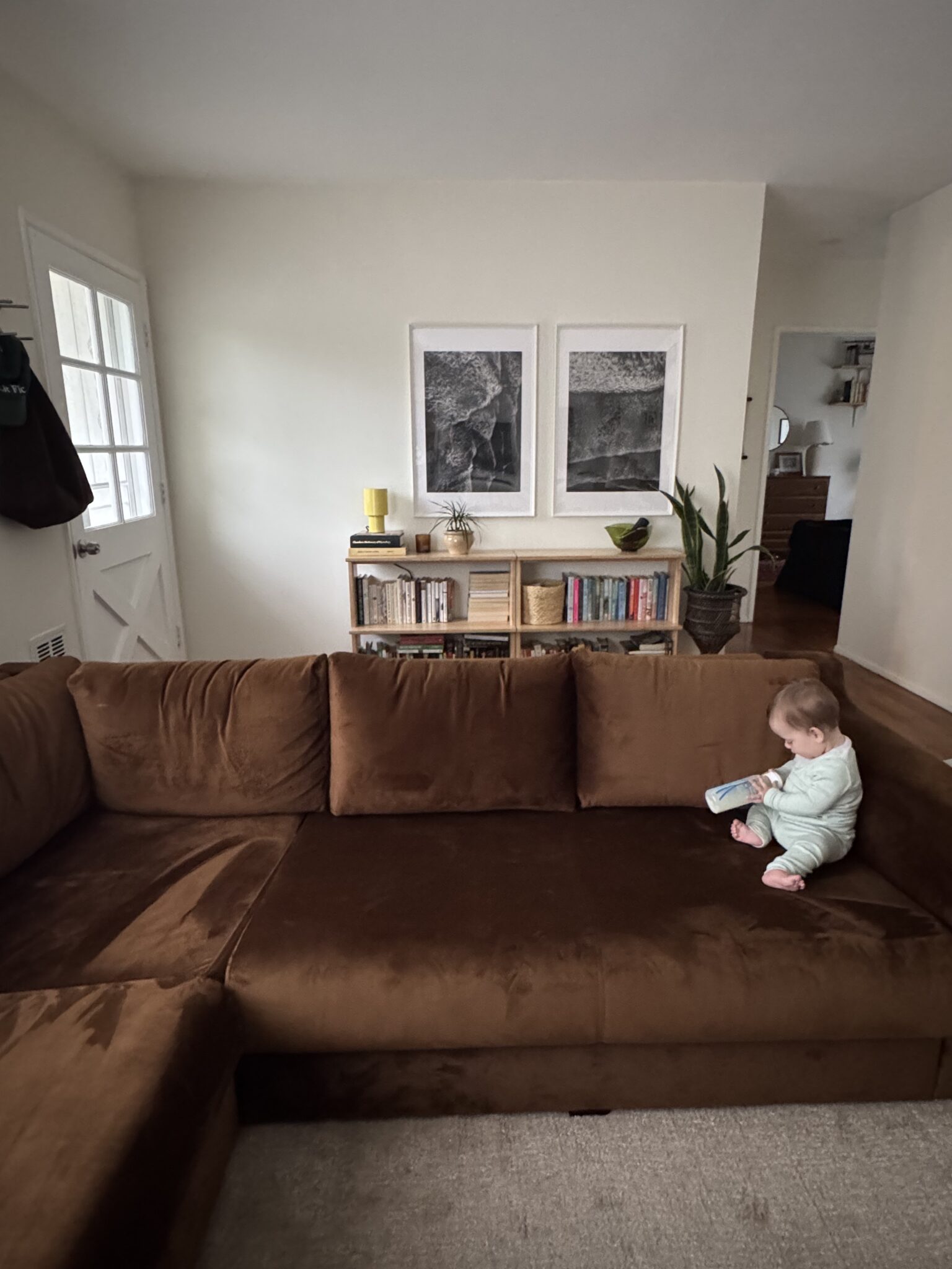 A baby sits on the corner of a brown sectional sofa in a living room with a bookshelf, two framed pictures, and a plant against a white wall.