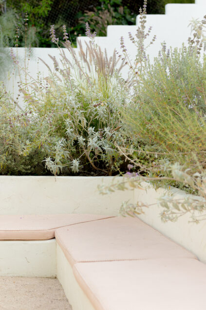 8M1A2622-Enhanced-NR