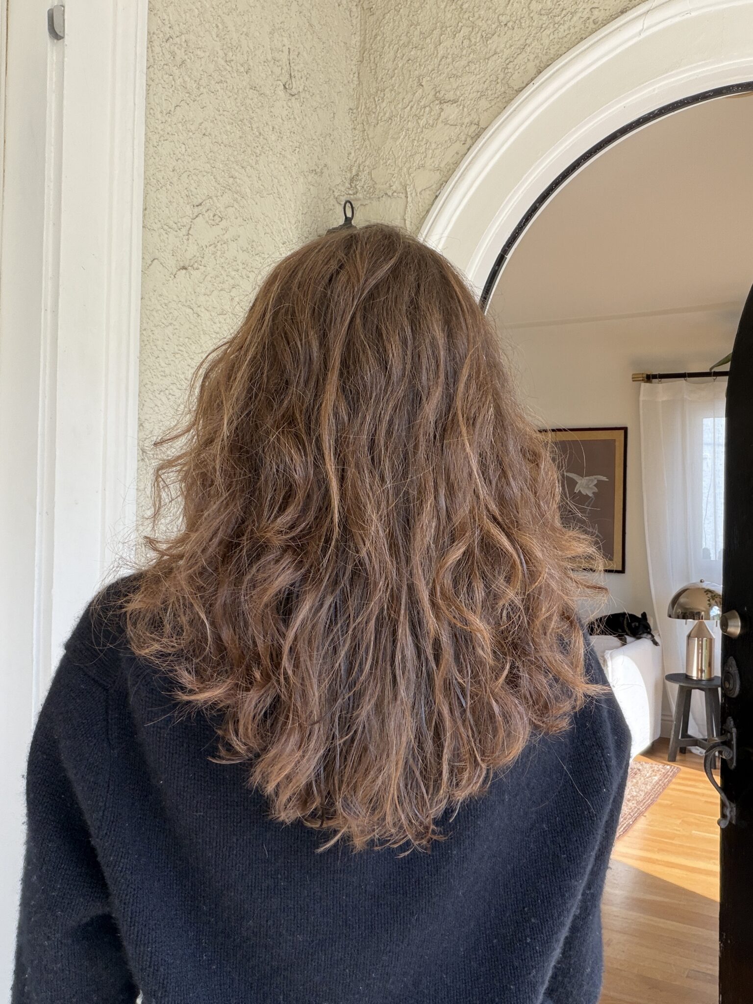 Person with shoulder-length, wavy brown hair seen from behind, standing in front of an arched doorway inside a well-lit room.