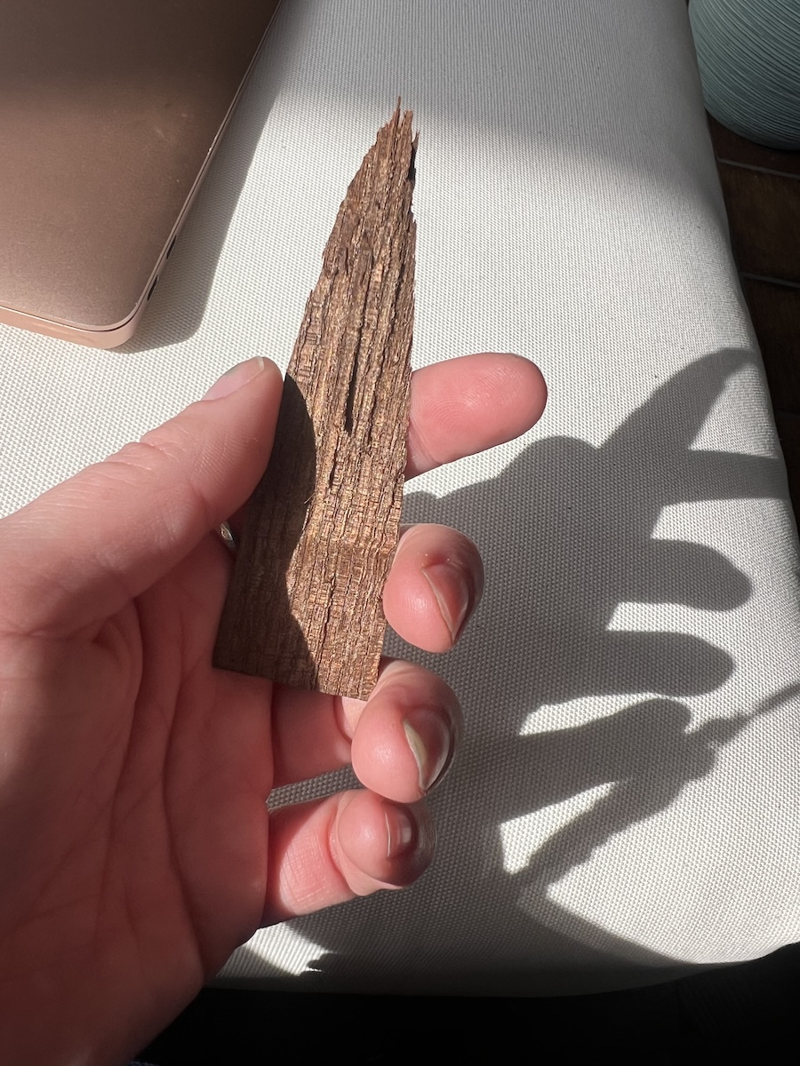 A hand holds a jagged piece of brown bark on a white surface with sunlight casting a shadow.