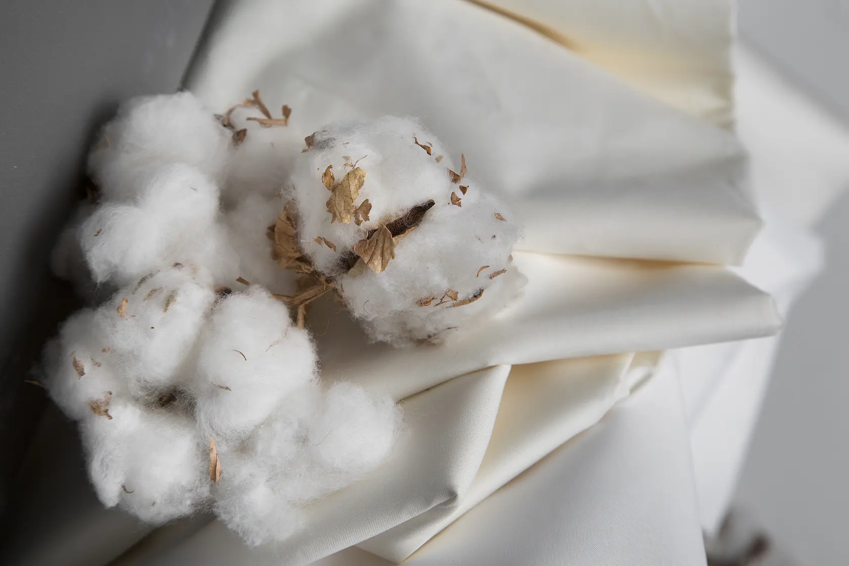 Cotton bolls with brown husks rest on folded white fabric, showing the raw material and finished textile side by side.