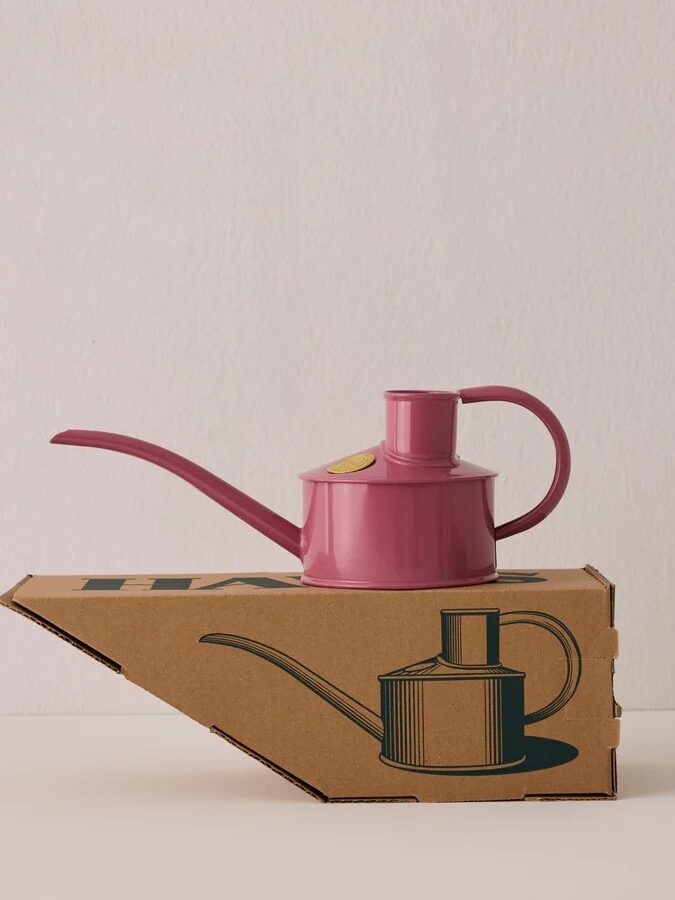 A pink watering can with a long spout sits on top of a cardboard box, displaying an illustration of the same watering can—perfect for your next online shopping find.