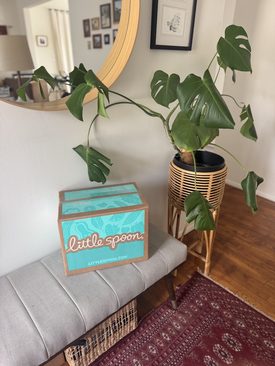 A Little Spoon delivery box sits on a gray bench next to a large potted monstera plant in a living room with a mirror and framed art on the wall.