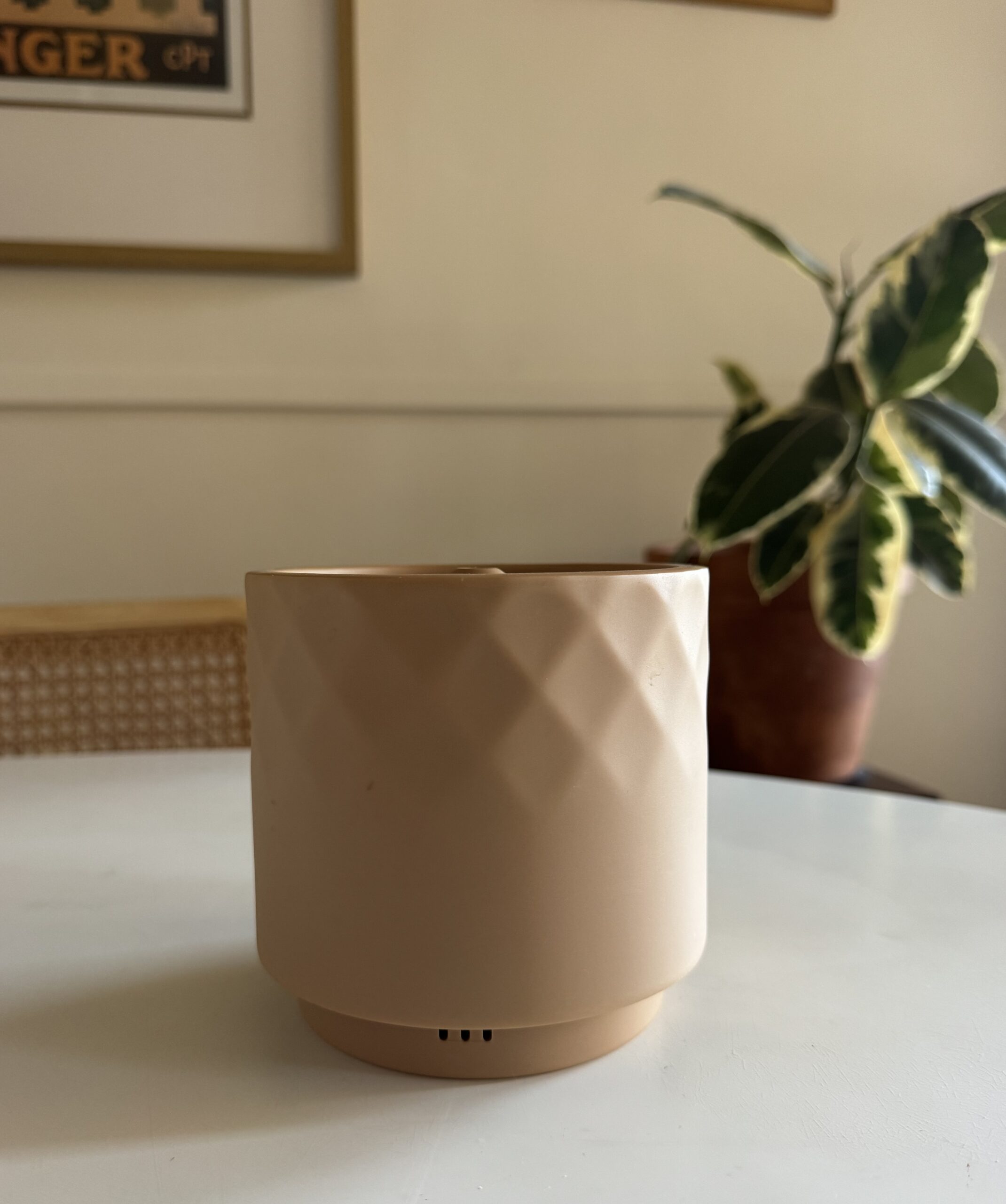 Beige, textured cylindrical container on a white surface, with a leafy potted plant and framed wall art in the background.