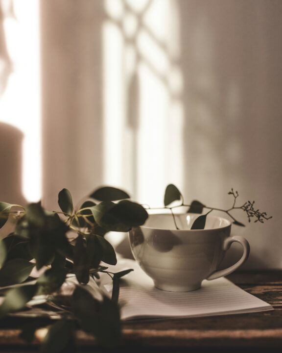 A white teacup sits on a notepad beside green leafy branches, with soft sunlight and shadows in the background.