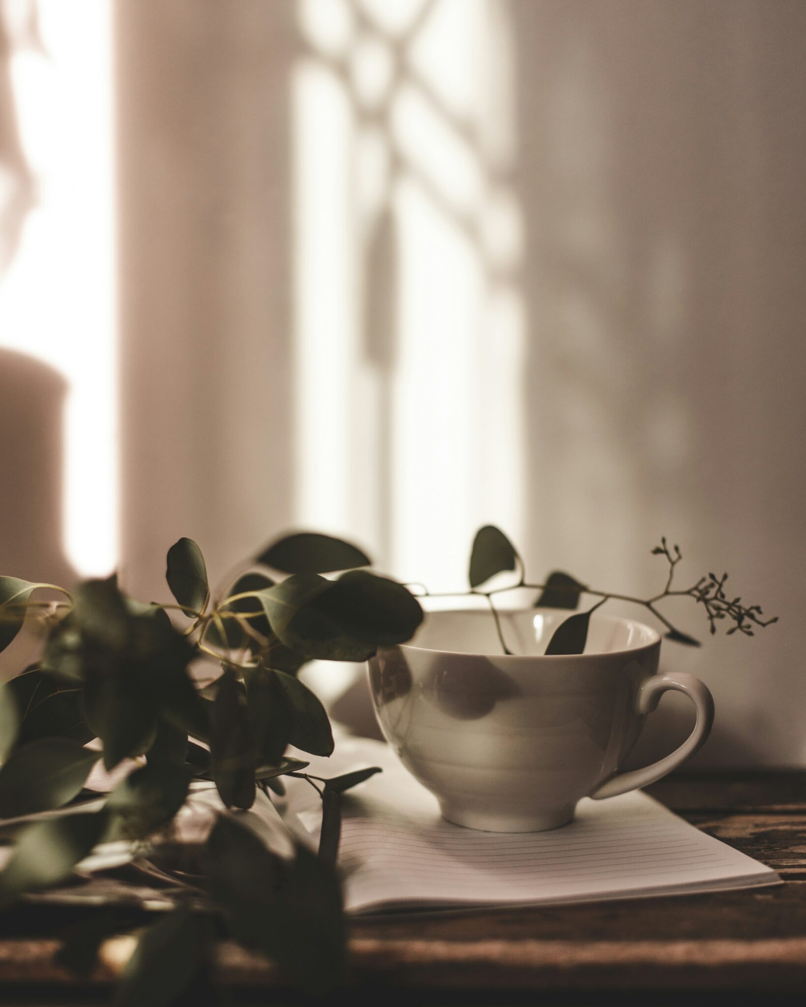 A white teacup sits on a notepad beside green leafy branches, with soft sunlight and shadows in the background.