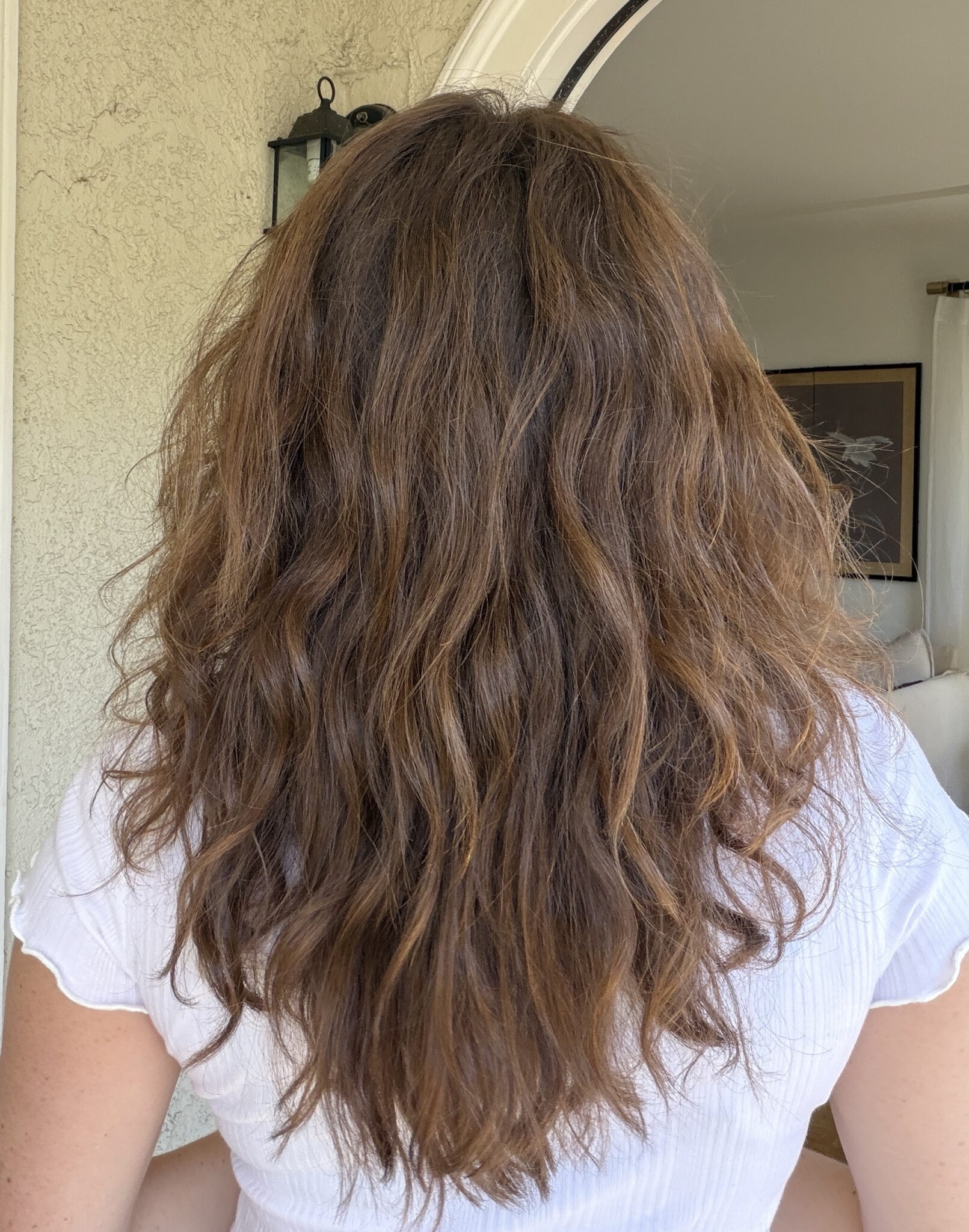 Person with long, wavy brown hair photographed from behind, wearing a short-sleeved white shirt indoors near a doorway.