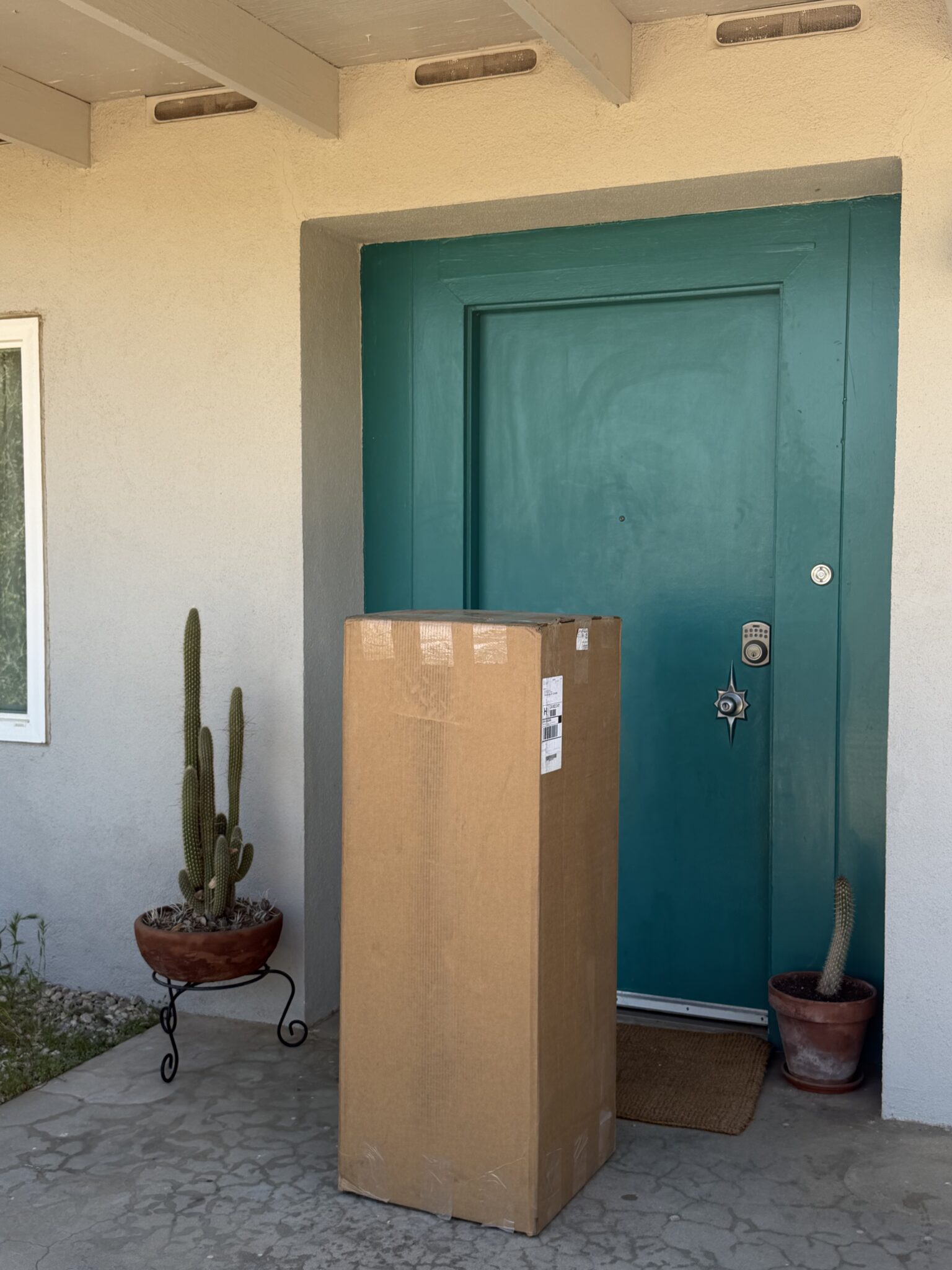 A large cardboard box is placed upright in front of a teal door on a porch, next to two potted cacti.