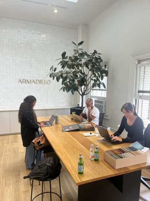 Three people work on laptops at a wooden table in a modern office with a large plant, fabric samples, and bottles of sparkling water. The word "ARMADILLO" is on the wall.