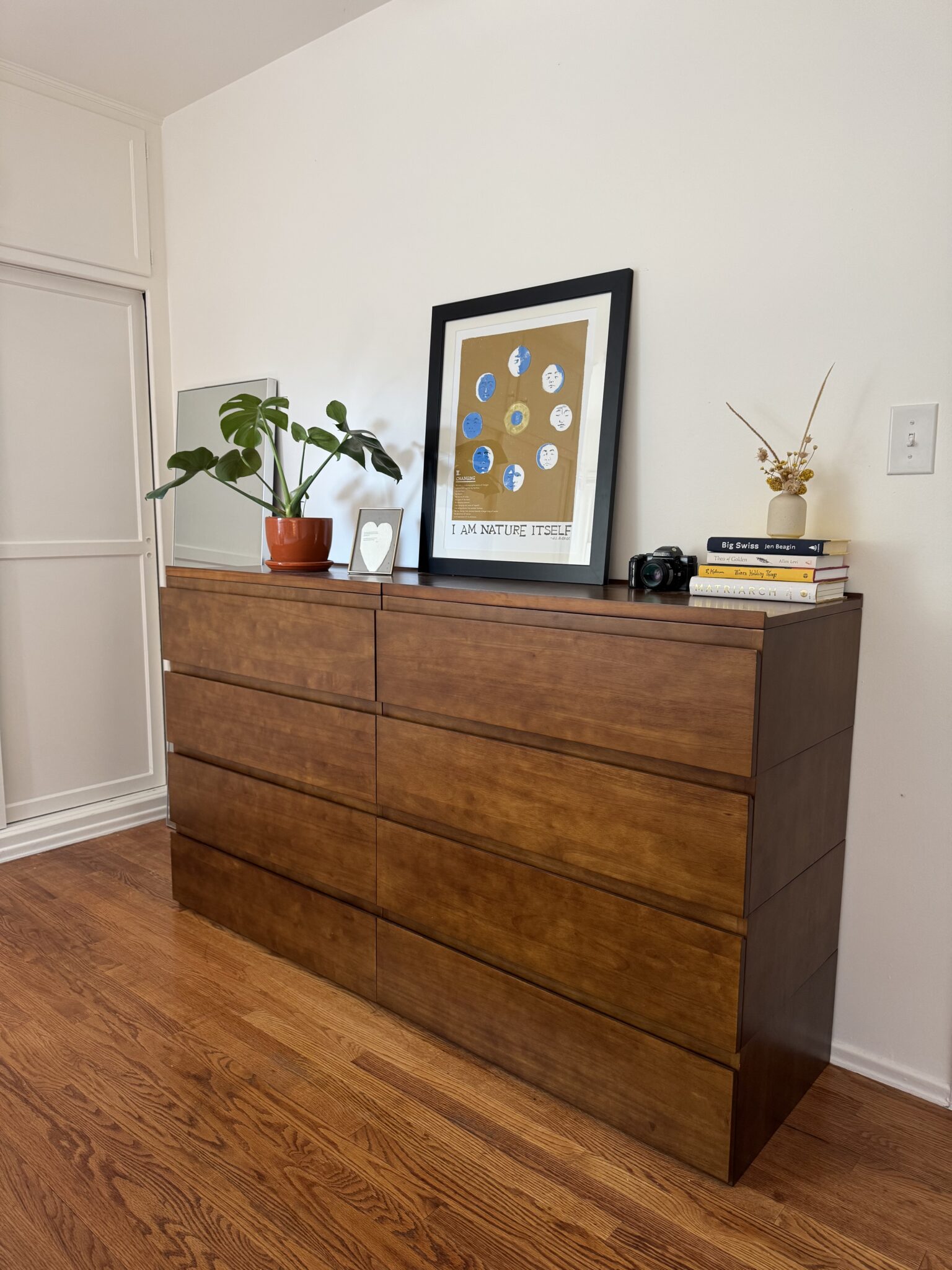 A wooden dresser with six drawers stands against a white wall, topped with a potted plant, framed art, books, a camera, and decorative objects.