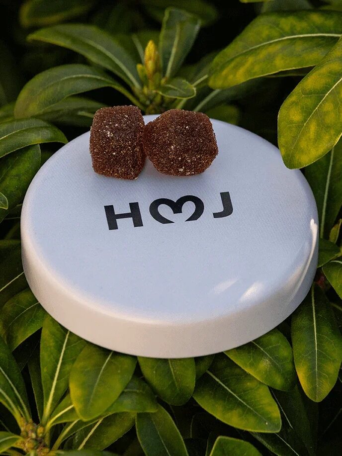 A white round container with "HOJ" printed on it sits among green leaves, with two brown sugar cubes placed on top of the lid.