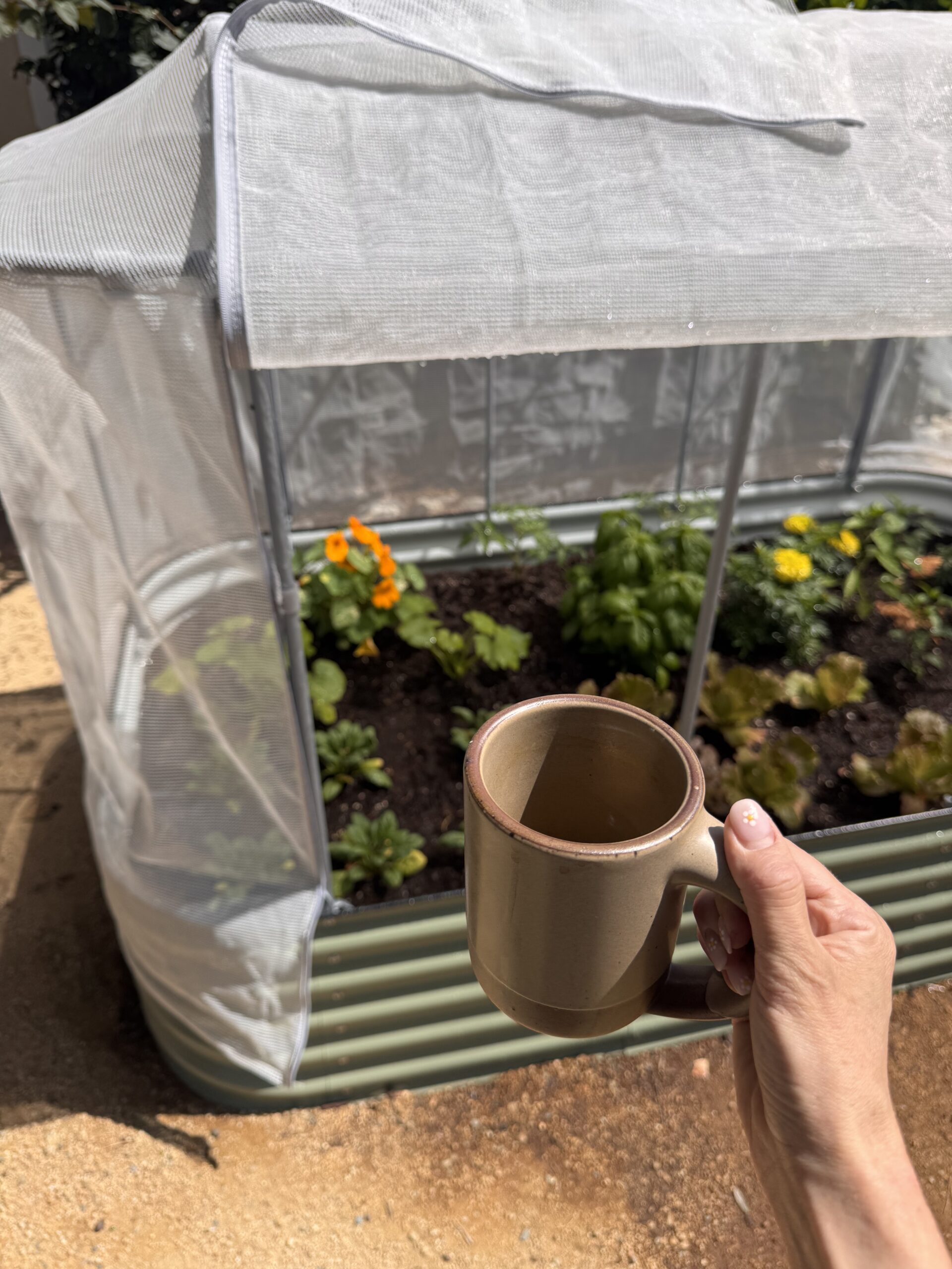 A hand holding a beige coffee mug in front of a small raised garden bed covered with a mesh canopy, with various plants and flowers growing inside.