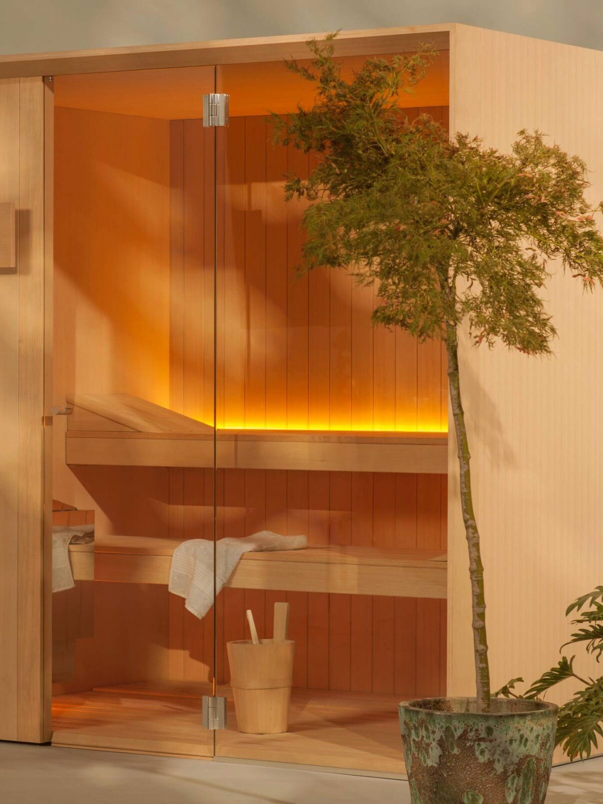A modern wooden sauna with glass door and benches, softly lit inside. A potted tree and plant are placed in front of the sauna.
