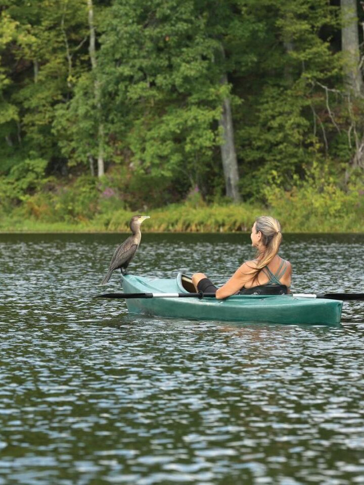 A woman in a kayak floats on a lake near a cormorant perched on the bow, with trees and greenery in the background.